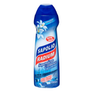 Saponáceo Radium Cremoso Clássico 300Ml